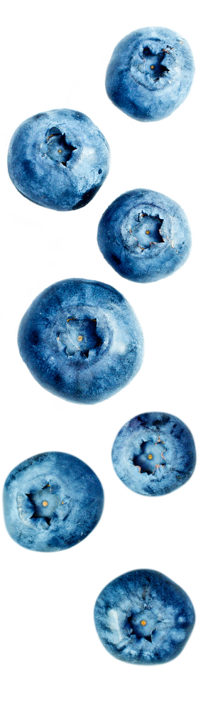 BlueBerry Design